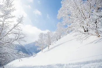 Tatil Evi Shirokuma Chalets Ōmagari